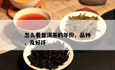 怎么看普洱茶的年份、品种、及好坏