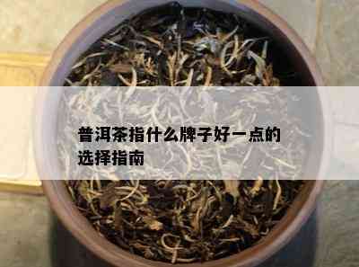 普洱茶指什么牌子好一点的选择指南