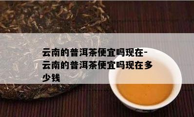 云南的普洱茶便宜吗现在-云南的普洱茶便宜吗现在多少钱