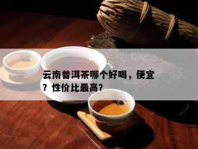 云南普洱茶哪个好喝，便宜？性价比更高？