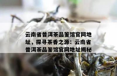 云南省普洱茶品鉴馆官网地址，探寻茶香之源：云南省普洱茶品鉴馆官网地址揭秘