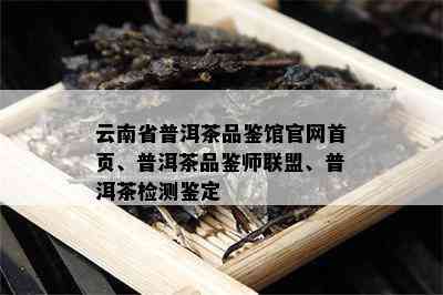 云南省普洱茶品鉴馆官网首页、普洱茶品鉴师联盟、普洱茶检测鉴定