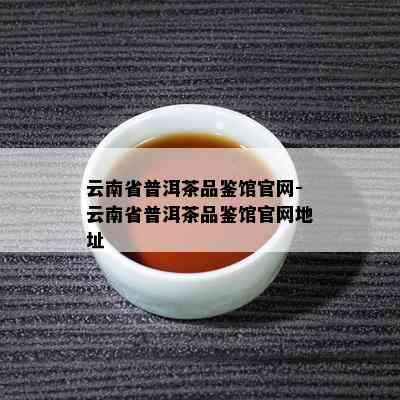 云南省普洱茶品鉴馆官网-云南省普洱茶品鉴馆官网地址