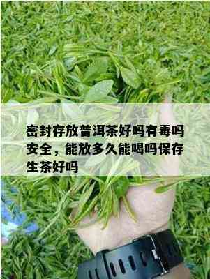 密封存放普洱茶好吗有吗安全，能放多久能喝吗保存生茶好吗