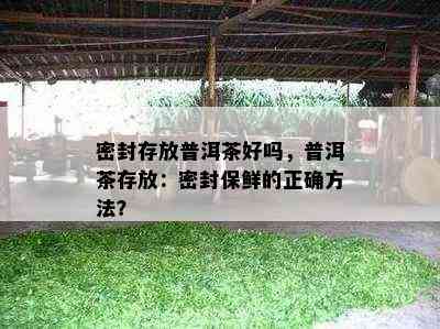 密封存放普洱茶好吗，普洱茶存放：密封保鲜的正确方法？