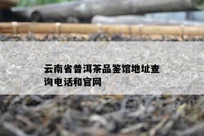 云南省普洱茶品鉴馆地址查询电话和官网