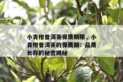 小青柑普洱茶保质期限，小青柑普洱茶的保质期：品质长存的秘密揭秘