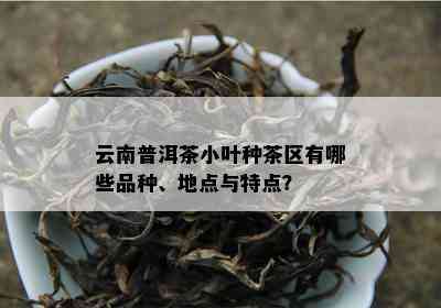 云南普洱茶小叶种茶区有哪些品种、地点与特点？