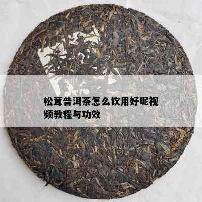 松茸普洱茶怎么饮用好呢视频教程与功效