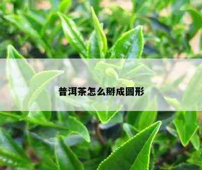 普洱茶怎么掰成圆形