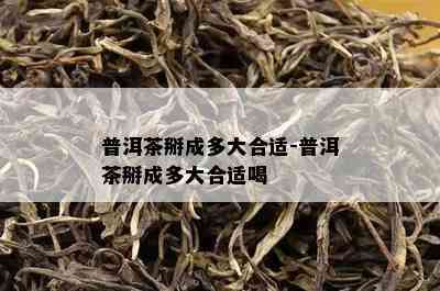 普洱茶掰成多大合适-普洱茶掰成多大合适喝