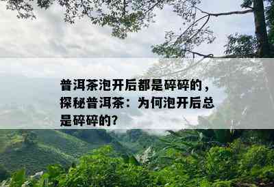 普洱茶泡开后都是碎碎的，探秘普洱茶：为何泡开后总是碎碎的？