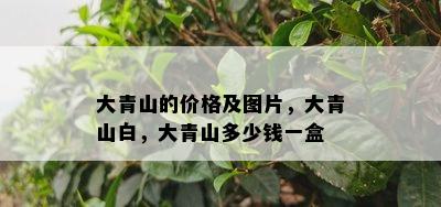 大青山的价格及图片，大青山白，大青山多少钱一盒