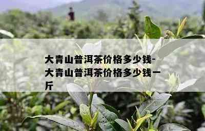 大青山普洱茶价格多少钱-大青山普洱茶价格多少钱一斤