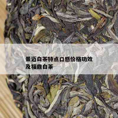 景迈白茶特点口感价格功效及福鼎白茶