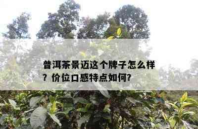 普洱茶景迈这个牌子怎么样？价位口感特点如何？