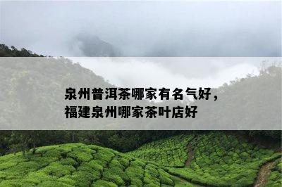 泉州普洱茶哪家有名气好，福建泉州哪家茶叶店好