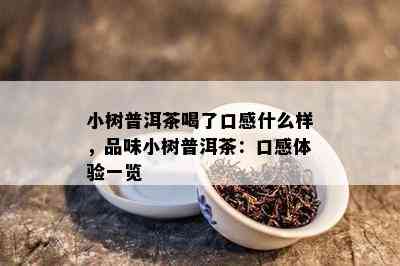 小树普洱茶喝了口感什么样，品味小树普洱茶：口感体验一览