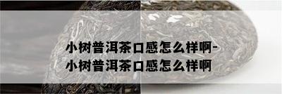 小树普洱茶口感怎么样啊-小树普洱茶口感怎么样啊