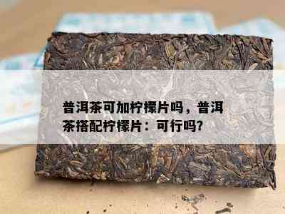 普洱茶可加柠檬片吗，普洱茶搭配柠檬片：可行吗？