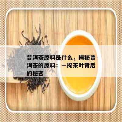 普洱茶原料是什么，揭秘普洱茶的原料：一探茶叶背后的秘密