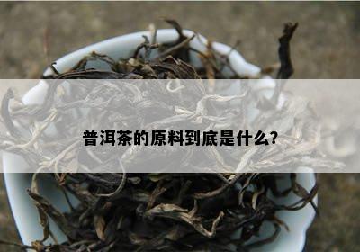 普洱茶的原料到底是什么？