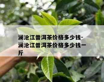 澜沧江普洱茶价格多少钱-澜沧江普洱茶价格多少钱一斤