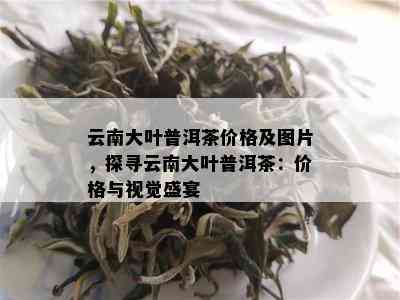 云南大叶普洱茶价格及图片，探寻云南大叶普洱茶：价格与视觉盛宴