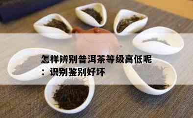 怎样辨别普洱茶等级高低呢：识别鉴别好坏