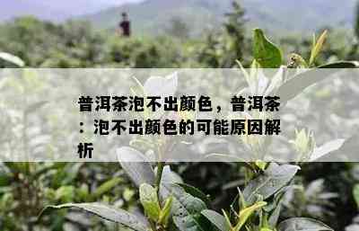 普洱茶泡不出颜色，普洱茶：泡不出颜色的可能原因解析