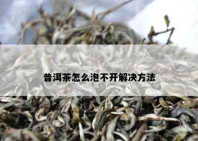 普洱茶怎么泡不开解决方法