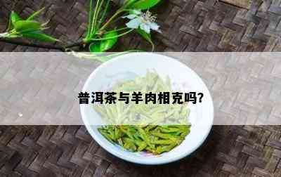 普洱茶与羊肉相克吗？