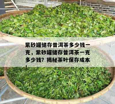 紫砂罐储存普洱茶多少钱一克，紫砂罐储存普洱茶一克多少钱？揭秘茶叶保存成本！