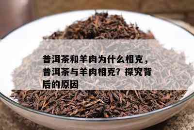 普洱茶和羊肉为什么相克，普洱茶与羊肉相克？探究背后的原因