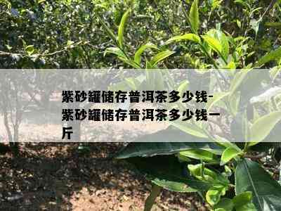 紫砂罐储存普洱茶多少钱-紫砂罐储存普洱茶多少钱一斤