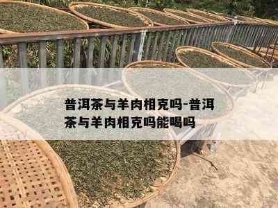 普洱茶与羊肉相克吗-普洱茶与羊肉相克吗能喝吗