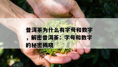 普洱茶为什么有字母和数字，解密普洱茶：字母和数字的秘密揭晓