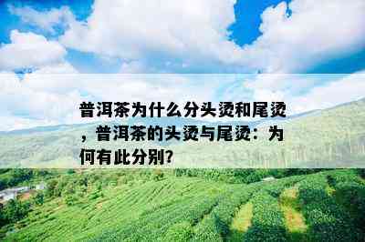 普洱茶为什么分头烫和尾烫，普洱茶的头烫与尾烫：为何有此分别？