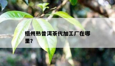 梧州熟普洱茶代加工厂在哪里？