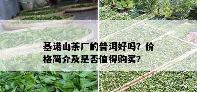 基诺山茶厂的普洱好吗？价格简介及是否值得购买？