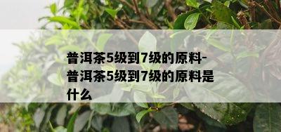 普洱茶5级到7级的原料-普洱茶5级到7级的原料是什么