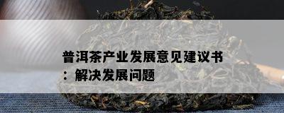 普洱茶产业发展意见建议书：解决发展问题