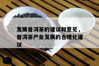 发展普洱茶的建议和意见，普洱茶产业发展的合理化建议