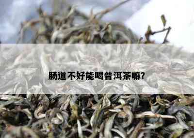 肠道不好能喝普洱茶嘛？