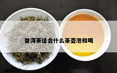 普洱茶适合什么茶壶泡和喝