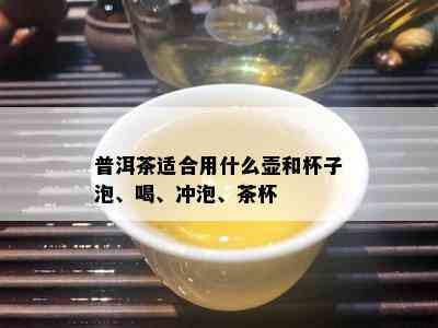 普洱茶适合用什么壶和杯子泡、喝、冲泡、茶杯