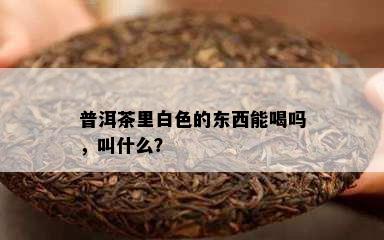 普洱茶里白色的东西能喝吗，叫什么？