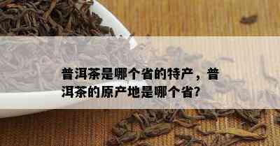 普洱茶是哪个省的特产，普洱茶的原产地是哪个省？