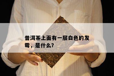 普洱茶上面有一层白色的发霉，是什么？