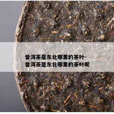 普洱茶是东北哪里的茶叶-普洱茶是东北哪里的茶叶呢